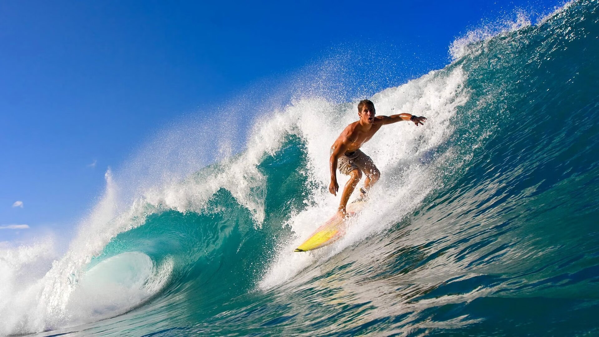 “德甲最后冲刺，联盟悬念逐渐揭晓”，德甲结局